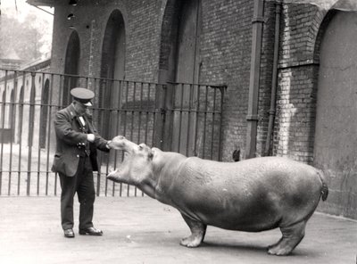 1923年ロンドン動物園でのアーニーボウマンとボビーの写真 作： Frederick William Bond